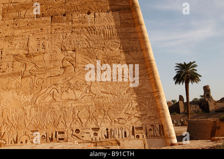 Entlastung des Pharao Ramesses III Bull Jagdszene geschnitzt Pylon an der "West Bank", [Medinet Habu] Tempel, Luxor, Ägypten Stockfoto