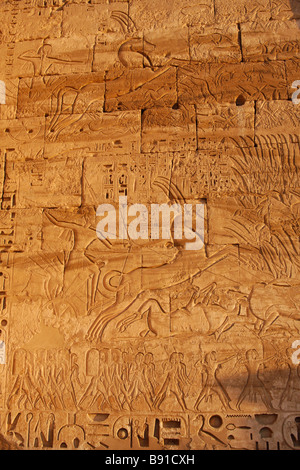 Entlastung des Pharao Ramesses III Bull Jagdszene geschnitzt Pylon an der "West Bank", [Medinet Habu] Tempel, Luxor, Ägypten Stockfoto