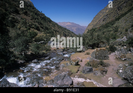 Polylepis Cloud Wald und Bach im Tal Cancha Cancha Lares Talregion, Cordillera Urubamba, in der Nähe von Cusco, Peru Stockfoto