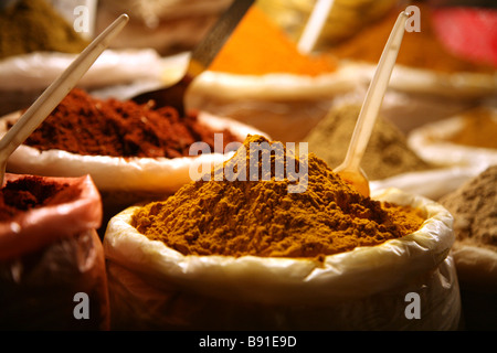 Lokale Gewürze auf dem Display an dem Samstag Nacht Markt an Baga in Goa, Indien Stockfoto