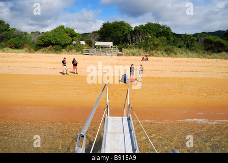 Totaranui Strand, Abel Tasman National Park, Tasman, Südinsel, Neuseeland Stockfoto