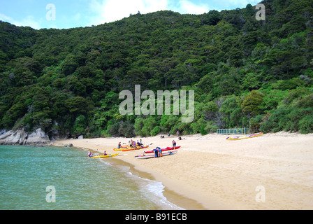 Tonga Bay, Abel Tasman National Park, Tasman, Südinsel, Neuseeland Stockfoto