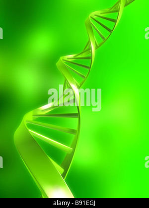 DNA-Modell Stockfoto