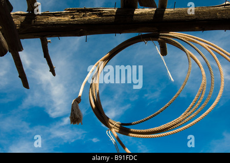 Westlichen Stil Lasso in Santa Fe NM Stockfoto