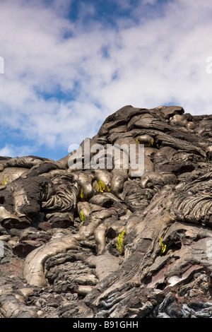 Pahoehoe Lava Flow - Volcanoes-Nationalpark, Big Island, Hawaii, USA. Stockfoto