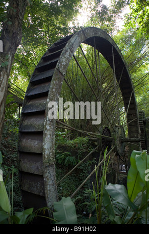Arnos Vale Wasserrad aus verlassenen Zuckerfabrik in den Wald, Insel von Tobago, Karibik Stockfoto