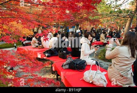 Menschen genießen die Herbstfarben am Eikando Zen-Garten in Kyoto Japan Stockfoto