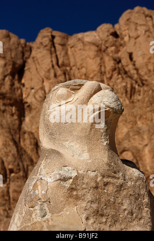 Statue von Falcon Gott Horus, Close up, Leichenhalle Tempel der Königin Hatshepsut 'Deir el-Bahri","West Bank", Luxor, Ägypten Stockfoto