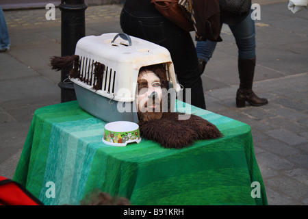 A Street Performer gekleidet wie ein Hund in einem Tier Träger in Covent Garden führt für das Publikum. Stockfoto