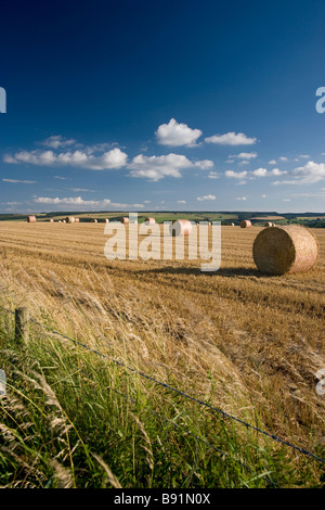 Runde Heuballen stehen in einem Feld in North Yorkshire. Stockfoto