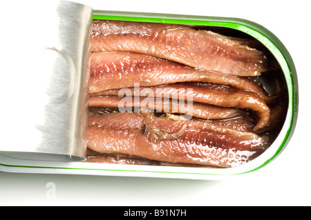 flache Filets von Sardellen in reinem Olivenöl in Blechdose Stockfoto