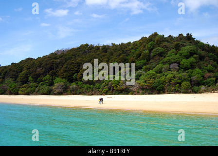 Anchorage Bucht, Abel Tasman National Park, Tasman, Südinsel, Neuseeland Stockfoto