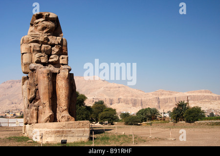 Kolosse von Memnon, massive steinerne Statue von Pharao Amenhotep III, "West Bank", Luxor, Ägypten, Nord-Afrika Stockfoto