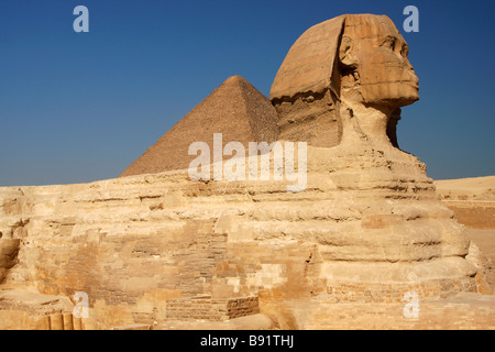 Die Sphinx und die Pyramiden von Cheops, Gizeh, Kairo, Ägypten Stockfoto