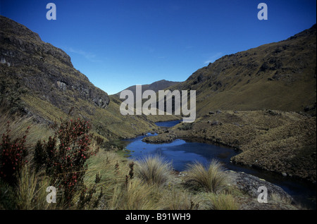 Paramo-Landschaft, Ichu Grünland (Jarava Ichu) und Seen im Cajas Nationalpark in Ecuador Stockfoto