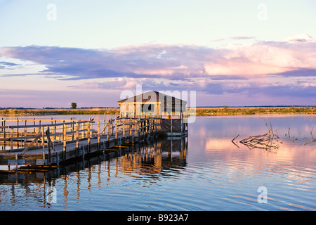 Tierbeobachtungen Hütte und Holzsteg.  Eiche Hängematte Marsh, Manitoba, Kanada. Stockfoto