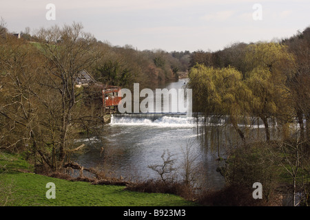 Avoncliff, Nr Bradford on Avon, Wiltshire, England, Großbritannien Stockfoto