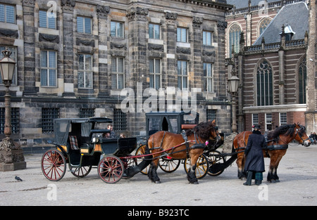 Pferde & Trainer Damplatz Amsterdam Stockfoto
