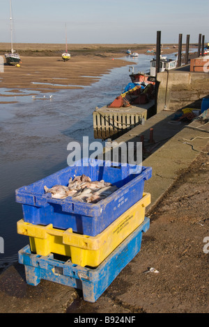 Kisten mit Fisch verlassen auf dem Kai in 'Brunnen weiter am Meer', Norfolk, England, UK. Stockfoto