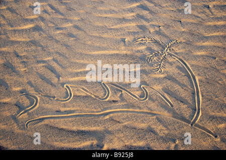 Muster gezeichnet in der Strand Sand St Lucia Provinz KwaZulu-Natal South Africa Stockfoto