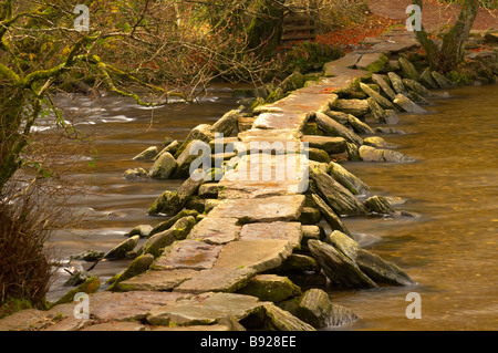 Herbst auf dem Fluß Barle an Tarr Steps auf Exmoor Somerset UK Stockfoto