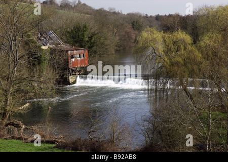 Avoncliff, Nr Bradford on Avon, Wiltshire, England, Großbritannien Stockfoto