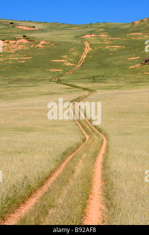 Wüste Straße Feenkreise in der Nähe von Hartmann s Bergen nördlichen Kaokoland Namibia Stockfoto