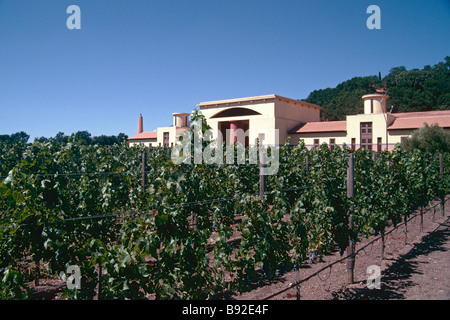 Pegase Weingut zu schließen, durch Weinreben Napa Valley in Kalifornien aus gesehen Stockfoto