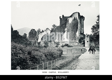 Killarney Ross Castle (Irisch: Caisleán ein Rois) ist die angestammte Heimat des O'Donoghue-Clans, obwohl es besser bekannt ist, denn es ist ein Stockfoto