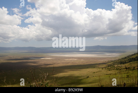 Ngorongoro Conservation Area im alten Krater Stockfoto