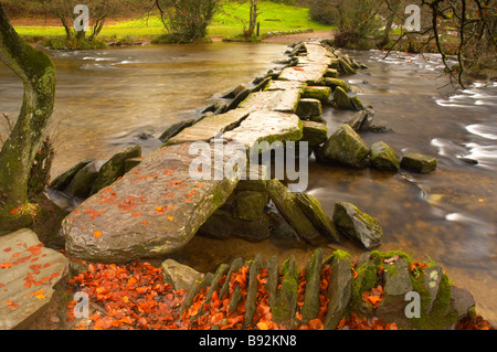 Herbst auf dem Fluß Barle an Tarr Steps auf Exmoor Somerset UK Stockfoto