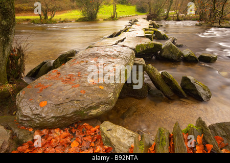 Herbst auf dem Fluß Barle an Tarr Steps auf Exmoor Somerset UK Stockfoto