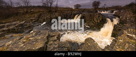 Panorama-Ansicht der Low Force Wasserfall in der Nähe von Middleton in Teesdale auf dem River Tees, County Durham, Großbritannien Stockfoto