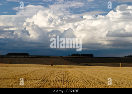 Strohballen im Feld nach der Weizenernte, in der Nähe von South Dalton, East Yorkshire, England, UK Stockfoto