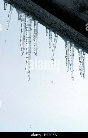 Winter-Szene von Eiszapfen schmelzen in der Sonne Textfreiraum Stockfoto