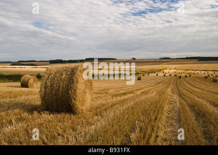 Strohballen im Feld nach der Weizenernte, in der Nähe von South Dalton, East Yorkshire, England, UK Stockfoto