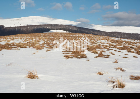 Bieszczady-Nationalpark im Winter, Süd-Ost Polen Stockfoto