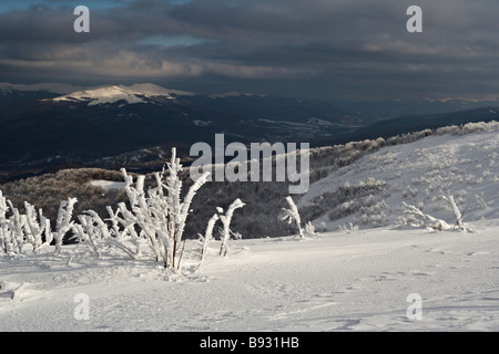 Bieszczady-Nationalpark im Winter, Süd-Ost Polen Stockfoto