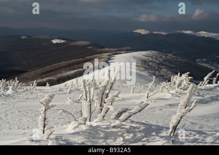 Bieszczady-Nationalpark im Winter, Süd-Ost Polen Stockfoto