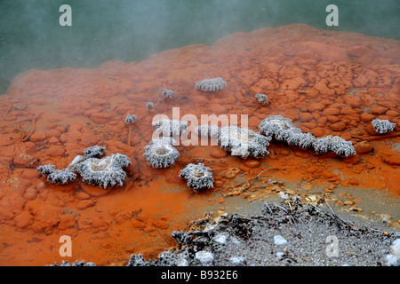 "Mineralische Ablagerungen, Wai-o-Tapu" Stockfoto