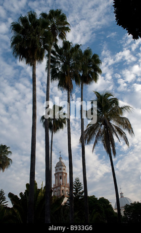 Bäume und Kathedrale in Stadtplatz in Cosala, Bundesstaat Sinaloa, Mexiko. Stockfoto