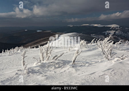 Bieszczady-Nationalpark im Winter, Süd-Ost Polen Stockfoto