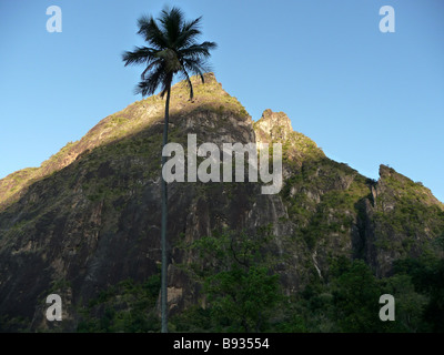 GROI Piton Stockfoto