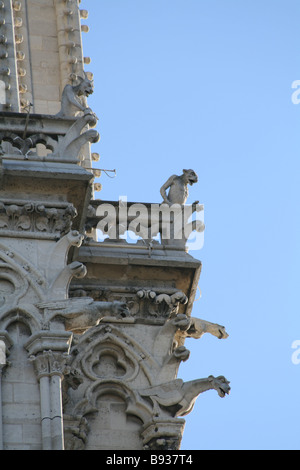 Wasserspeier an der Notre Dame Kathedrale, Paris Stockfoto