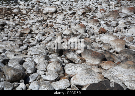 Eine endlose Meer von Felsen, Steinen und Felsbrocken auf ein ausgetrocknetes Flussbett hinauf Stockfoto