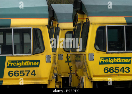 Freightliner Klasse 66 Diesel Lokomotiven, Ipswich, Suffolk, UK. Stockfoto