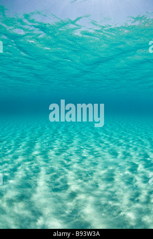 Sonnenlicht führt über weißen Sand Komodo Indonesien Stockfoto