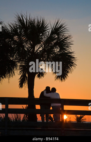 Silhouette paar Sonnenuntergang unter einer Palme am Nokomis Beach in Florida Stockfoto