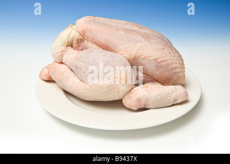 Ganze rohe Huhn mit einer abgestuften blauen Studio-Hintergrund Stockfoto