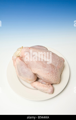 Ganze rohe Huhn mit einer abgestuften blauen Studio-Hintergrund Stockfoto